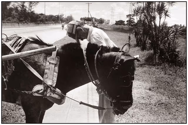 From Dossier Habana album