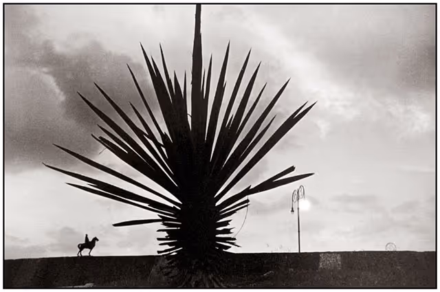 From Dossier Habana album