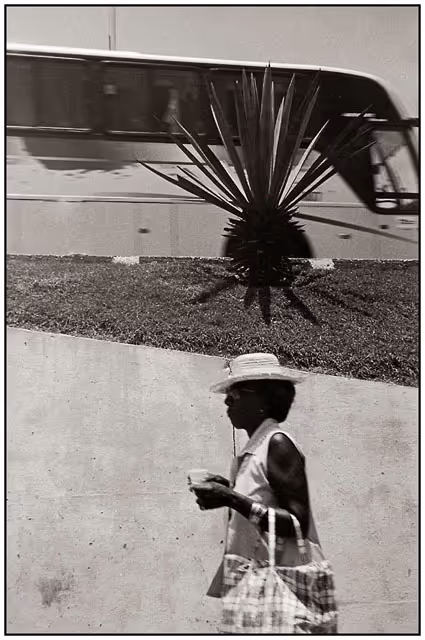 From Dossier Habana album