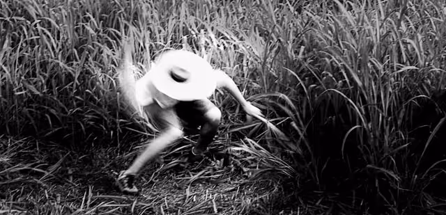 From Carla's dream album