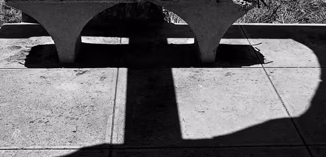 From Carla's dream album