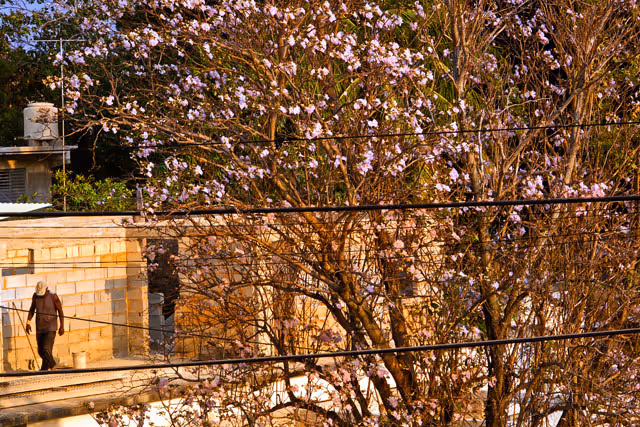 From Habana Color album