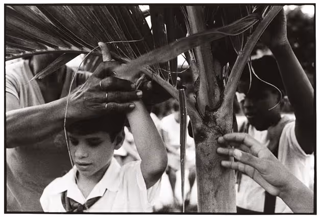 From Alas en la sombra album